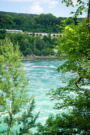 DSC00555-2
