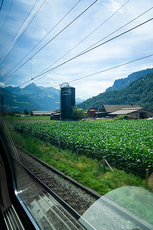 DSC00269-2