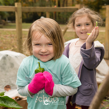 Brooksfield 2018.Nov-266