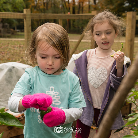 Brooksfield 2018.Nov-264