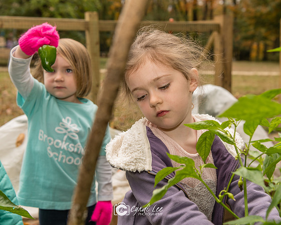 Brooksfield 2018.Nov-263