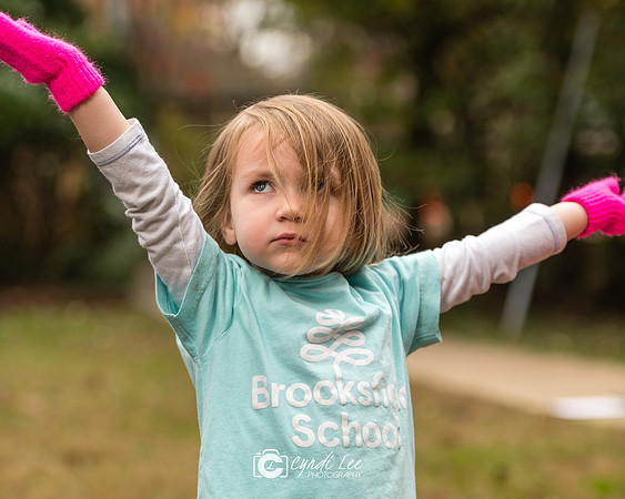 Brooksfield 2018.Nov-252