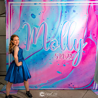 Molly K. 101 Constitution