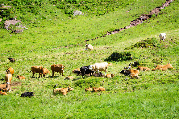 DSC00470-2