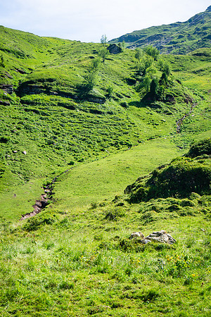 DSC00477-2